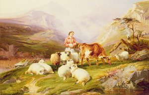 Vaca y ovejas en un pasto de montaña